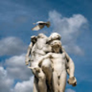 Meet your Posher, Jackson